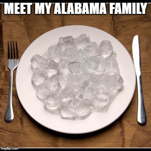 Plate of Ice Cubes | MEET MY ALABAMA FAMILY | image tagged in plate of ice cubes | made w/ Imgflip meme maker