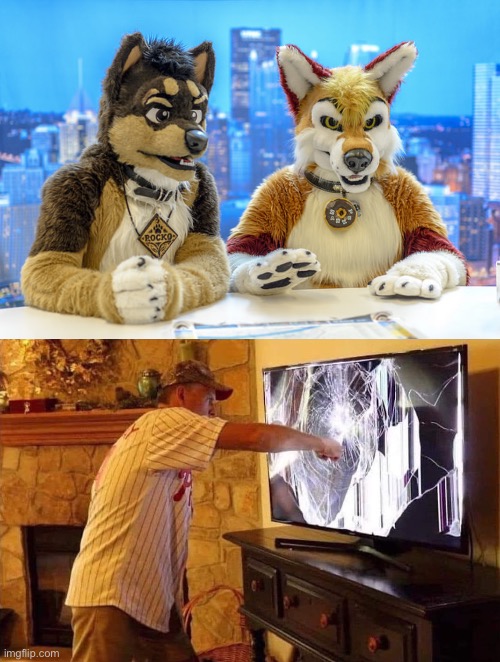 image tagged in furry news,man punches tv | made w/ Imgflip meme maker