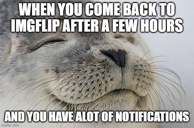 idk if this is a repost | WHEN YOU COME BACK TO IMGFLIP AFTER A FEW HOURS; AND YOU HAVE ALOT OF NOTIFICATIONS | image tagged in memes,satisfied seal | made w/ Imgflip meme maker