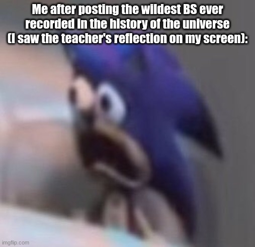 Have a fun stream meme I made | Me after posting the wildest BS ever recorded in the history of the universe (I saw the teacher's reflection on my screen): | image tagged in traumatised sonic | made w/ Imgflip meme maker