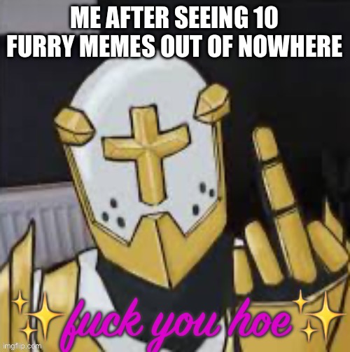 fuck you hoe | ME AFTER SEEING 10 FURRY MEMES OUT OF NOWHERE | image tagged in fuck you hoe | made w/ Imgflip meme maker