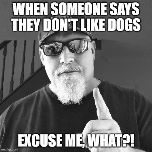 BIG ANYPB SAYS | WHEN SOMEONE SAYS THEY DON'T LIKE DOGS; EXCUSE ME, WHAT?! | image tagged in memes,dogs,dad joke dog,dad joke | made w/ Imgflip meme maker