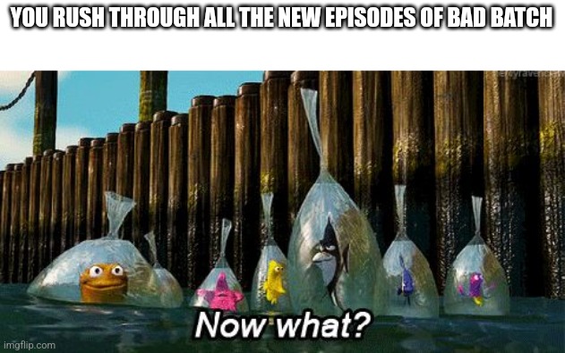 Now What? | YOU RUSH THROUGH ALL THE NEW EPISODES OF BAD BATCH | image tagged in now what | made w/ Imgflip meme maker