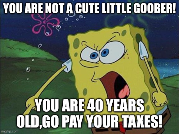 Spongebob Yelling | YOU ARE NOT A CUTE LITTLE GOOBER! YOU ARE 40 YEARS OLD,GO PAY YOUR TAXES! | image tagged in spongebob yelling | made w/ Imgflip meme maker