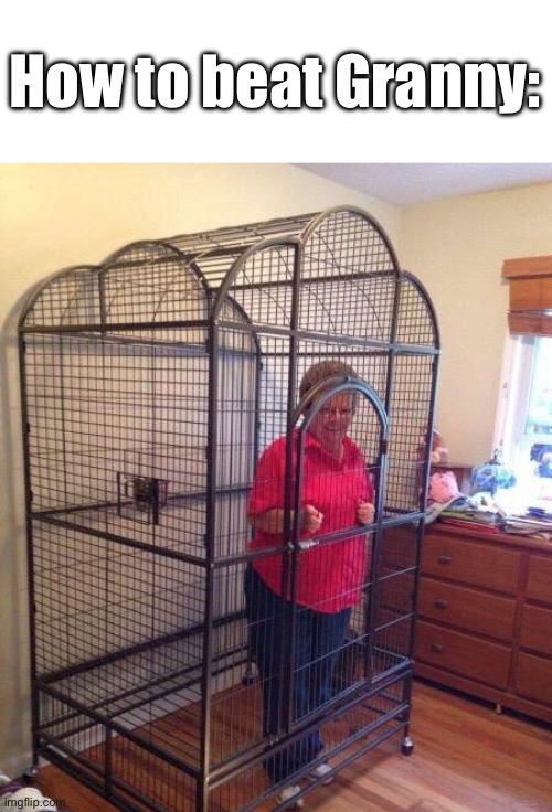 Granny in cage | How to beat Granny: | image tagged in granny in cage | made w/ Imgflip meme maker