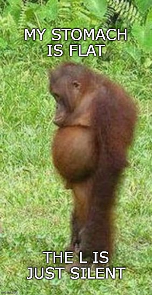 my stomach | MY STOMACH IS FLAT; THE L IS JUST SILENT | image tagged in chubby orangutan | made w/ Imgflip meme maker