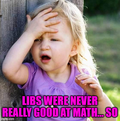 duh | LIBS WERE NEVER REALLY GOOD AT MATH... SO | image tagged in duh | made w/ Imgflip meme maker