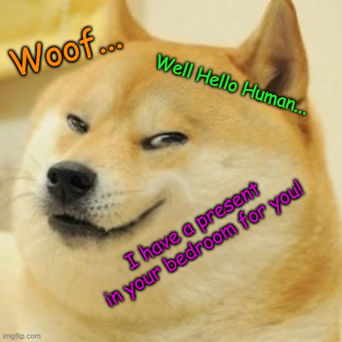 Sinister woofing | Woof... Well Hello Human... I have a present in your bedroom for you! | image tagged in evil doge | made w/ Imgflip meme maker