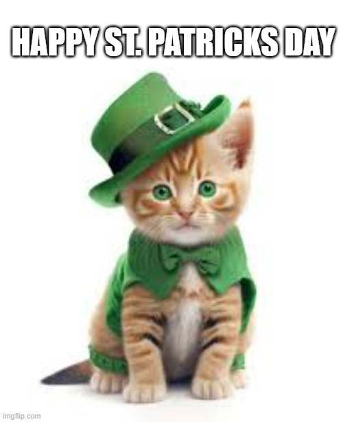 meme by Brad St. Patrick's Day kitten cat | HAPPY ST. PATRICKS DAY | image tagged in cats,funny,funny cat memes,humor,st patrick's day,funny cats | made w/ Imgflip meme maker
