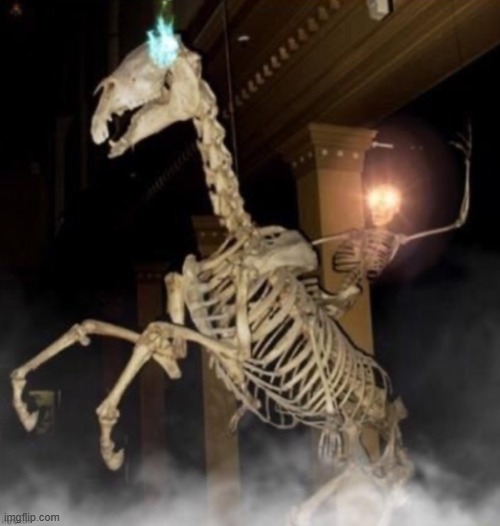 Skele rider | image tagged in skele rider | made w/ Imgflip meme maker