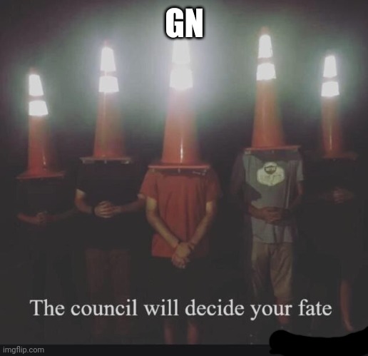 Gn | GN | image tagged in the council will decide x | made w/ Imgflip meme maker