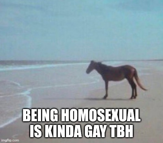 Man Horse Water | BEING HOMOSEXUAL IS KINDA GAY TBH | image tagged in man horse water | made w/ Imgflip meme maker