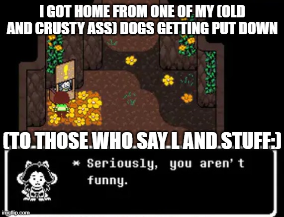 To those who will try to be "funny" by literally saying "L and stuff", You're not funny either. | I GOT HOME FROM ONE OF MY (OLD AND CRUSTY ASS) DOGS GETTING PUT DOWN; (TO THOSE WHO SAY L AND STUFF:) | image tagged in you are not funny ts underswap | made w/ Imgflip meme maker