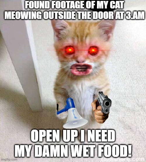 uuh, meow? | FOUND FOOTAGE OF MY CAT MEOWING OUTSIDE THE DOOR AT 3.AM; OPEN UP I NEED MY DAMN WET FOOD! | image tagged in memes,cute cat | made w/ Imgflip meme maker