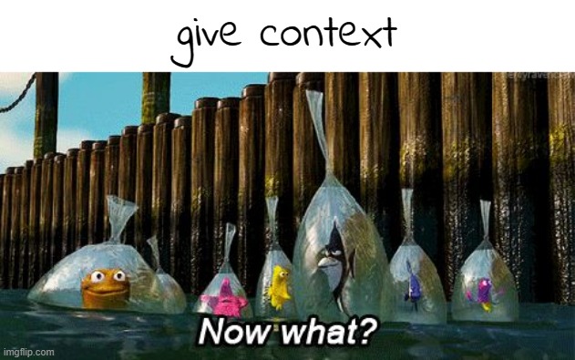 Now What? | give context | image tagged in now what | made w/ Imgflip meme maker