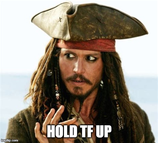 Jack sparow's "What the F**K" look | HOLD TF UP | image tagged in jack sparow's what the f k look | made w/ Imgflip meme maker
