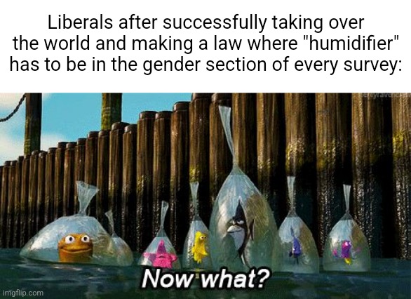 Now What? | Liberals after successfully taking over the world and making a law where "humidifier" has to be in the gender section of every survey: | image tagged in now what | made w/ Imgflip meme maker