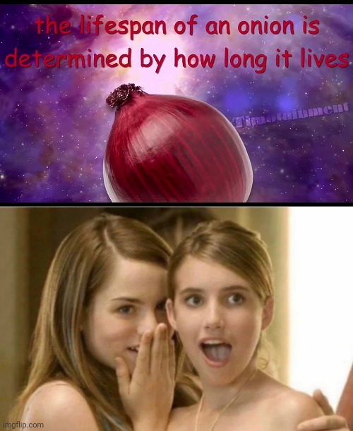 It checks out. | image tagged in the lifespan of an onion is determined by how long it lives,impressed girls,vegetable,food for thought,seems legit | made w/ Imgflip meme maker