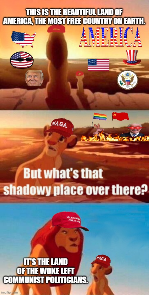 Bring back the good old days! :) | THIS IS THE BEAUTIFUL LAND OF AMERICA, THE MOST FREE COUNTRY ON EARTH. IT'S THE LAND OF THE WOKE LEFT COMMUNIST POLITICIANS. | image tagged in memes,simba shadowy place | made w/ Imgflip meme maker
