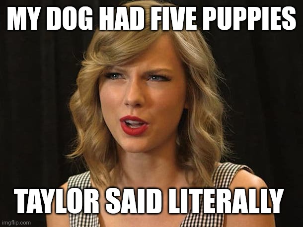 Taylor said literally | MY DOG HAD FIVE PUPPIES; TAYLOR SAID LITERALLY | image tagged in taylor swiftie | made w/ Imgflip meme maker