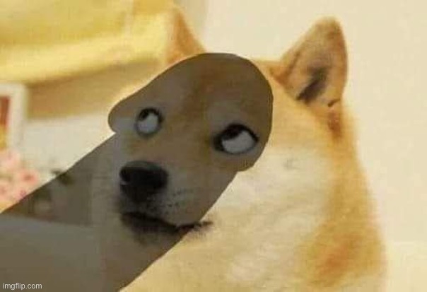 Dick Shadow Doge | image tagged in dick shadow doge | made w/ Imgflip meme maker