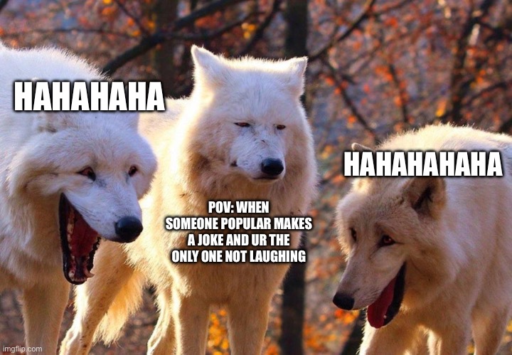 Madeleine’s POV | HAHAHAHA; HAHAHAHAHA; POV: WHEN SOMEONE POPULAR MAKES A JOKE AND UR THE ONLY ONE NOT LAUGHING | image tagged in 2/3 wolves laugh | made w/ Imgflip meme maker