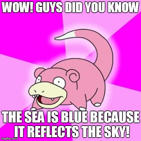 Slowpoke | WOW! GUYS DID YOU KNOW THE SEA IS BLUE BECAUSE IT REFLECTS THE SKY! | image tagged in memes,slowpoke | made w/ Imgflip meme maker