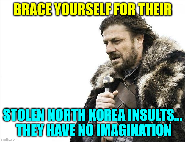 Brace Yourselves X is Coming Meme | BRACE YOURSELF FOR THEIR STOLEN NORTH KOREA INSULTS...  THEY HAVE NO IMAGINATION | image tagged in memes,brace yourselves x is coming | made w/ Imgflip meme maker