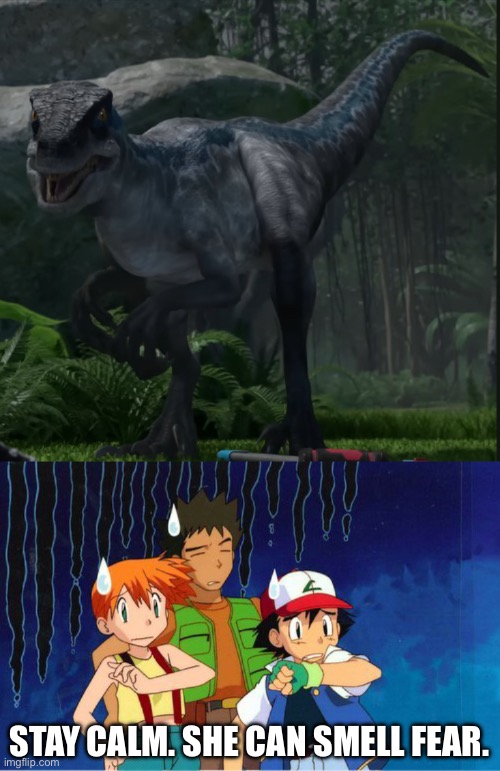 Ash, Misty, and Brock Meet Blue The Velociraptor | STAY CALM. SHE CAN SMELL FEAR. | image tagged in pokemon,velociraptor,jurassic park,jurassic world,dinosaurs | made w/ Imgflip meme maker