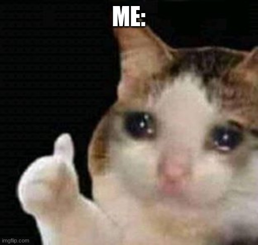 sad thumbs up cat | ME: | image tagged in sad thumbs up cat | made w/ Imgflip meme maker