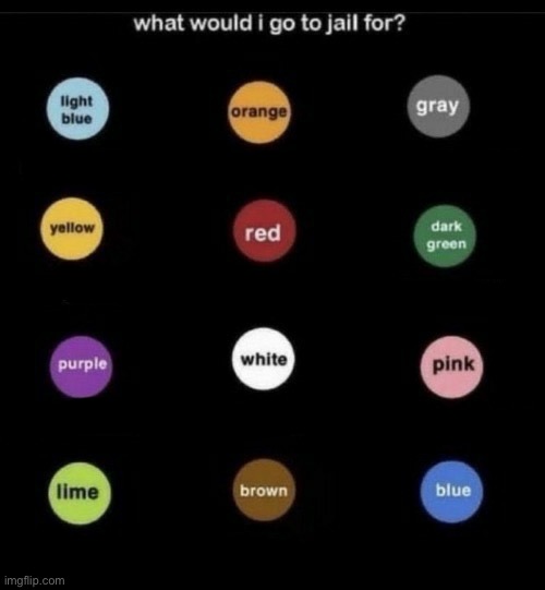 What would I go to jail for | image tagged in what would i go to jail for | made w/ Imgflip meme maker