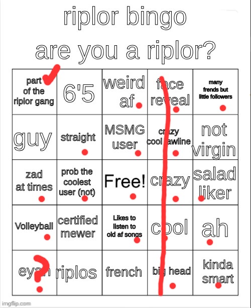 riplor bingo | image tagged in riplor bingo | made w/ Imgflip meme maker