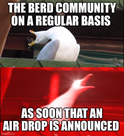Screaming bird | THE BERD COMMUNITY ON A REGULAR BASIS; AS SOON THAT AN AIR DROP IS ANNOUNCED | image tagged in screaming bird | made w/ Imgflip meme maker