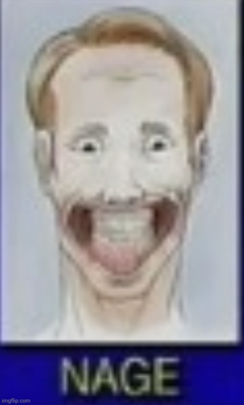 image tagged in nage | made w/ Imgflip meme maker