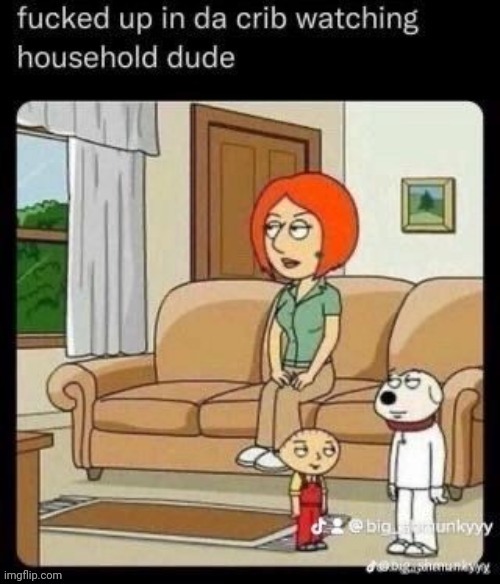 Household dude | image tagged in household dude | made w/ Imgflip meme maker