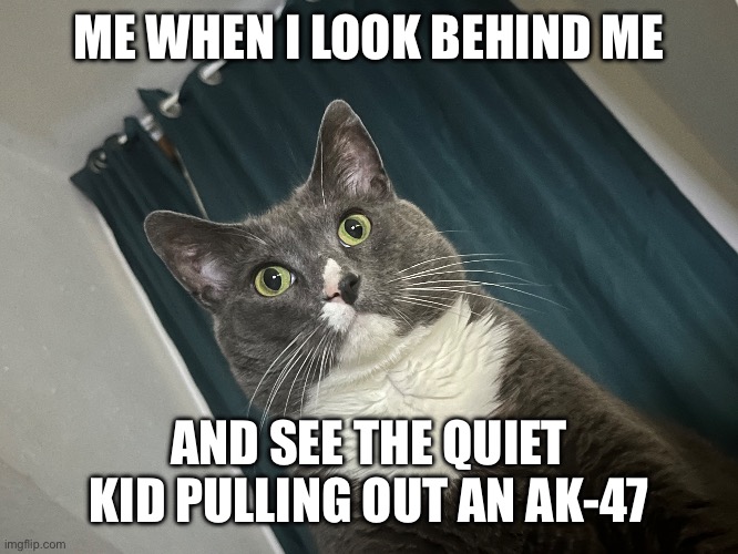 My cat staring into nothingness | ME WHEN I LOOK BEHIND ME; AND SEE THE QUIET KID PULLING OUT AN AK-47 | image tagged in the most interesting cat in the world | made w/ Imgflip meme maker