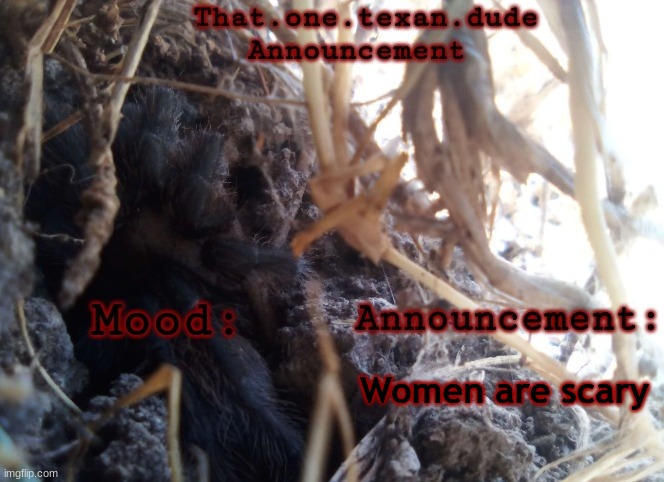 Women are scary | image tagged in that one texan dude announcement | made w/ Imgflip meme maker