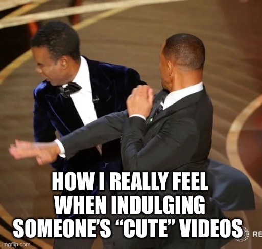 Cute videos | HOW I REALLY FEEL WHEN INDULGING SOMEONE’S “CUTE” VIDEOS | image tagged in cute | made w/ Imgflip meme maker