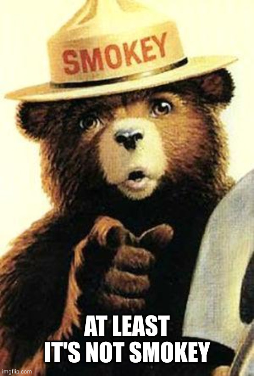 smokey the bear | AT LEAST IT'S NOT SMOKEY | image tagged in smokey the bear | made w/ Imgflip meme maker