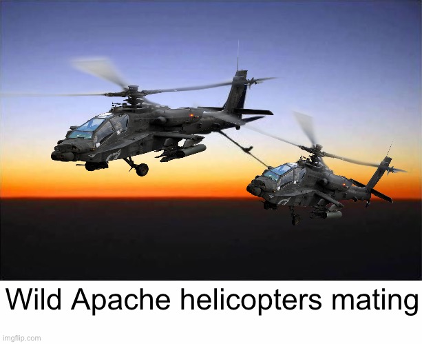 Gay shit | Wild Apache helicopters mating | image tagged in refuel,white text box | made w/ Imgflip meme maker
