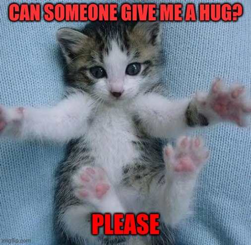 Can I get a hug | CAN SOMEONE GIVE ME A HUG? PLEASE | image tagged in goodmorning kitten,funny memes | made w/ Imgflip meme maker