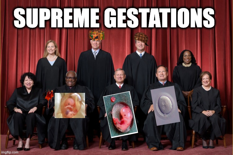SUPREME GESTATIONS | image tagged in memes,supreme court,personhood,gestations,dobbs,theocracy | made w/ Imgflip meme maker