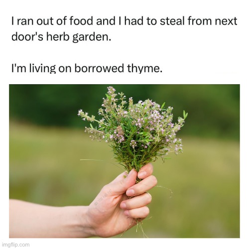 Living on... | image tagged in living,time,thyme | made w/ Imgflip meme maker