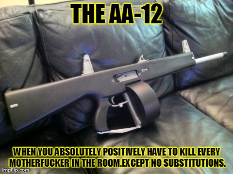 THE AA-12 WHEN YOU ABSOLUTELY POSITIVELY HAVE TO KILL EVERY MOTHERF**KER IN THE ROOM.EXCEPT NO SUBSTITUTIONS. | made w/ Imgflip meme maker