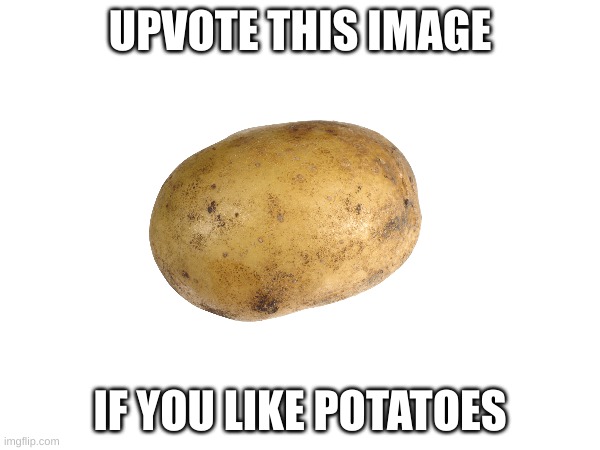 any amount of upvotes and i'll post it in fun (fr) | UPVOTE THIS IMAGE; IF YOU LIKE POTATOES | image tagged in upvotes,potato | made w/ Imgflip meme maker