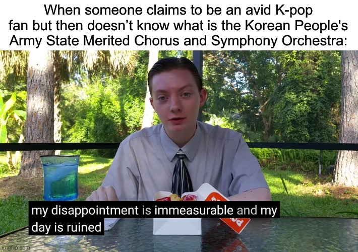 You know you’re a real K-pop fan when you can list over 15 songs by Pochonbo Electronic Ensemble | When someone claims to be an avid K-pop fan but then doesn’t know what is the Korean People's Army State Merited Chorus and Symphony Orchestra: | image tagged in my disappointment is immeasurable | made w/ Imgflip meme maker