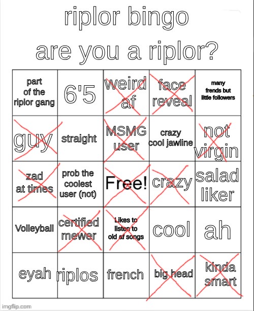 riplor bingo | image tagged in riplor bingo | made w/ Imgflip meme maker