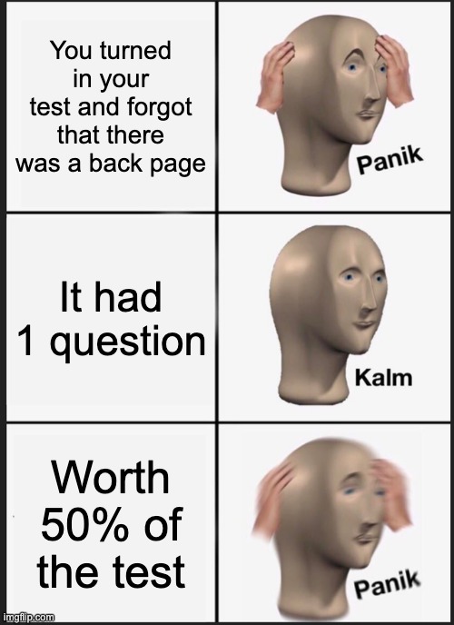noooo YAY NOOOOOOOOO | You turned in your test and forgot that there was a back page; It had 1 question; Worth 50% of the test | image tagged in memes,panik kalm panik | made w/ Imgflip meme maker