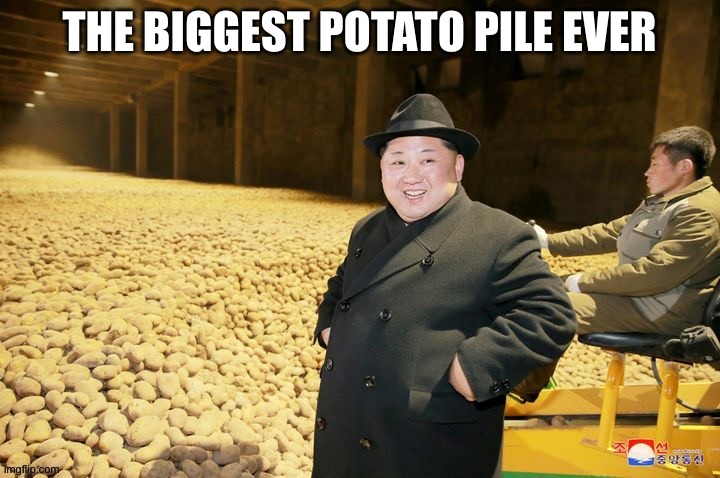potatoes (found in comment) | THE BIGGEST POTATO PILE EVER | image tagged in repost,potato | made w/ Imgflip meme maker