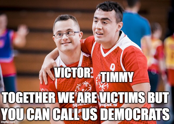 Victim Democrats | VICTOR TIMMY TOGETHER WE ARE VICTIMS BUT YOU CAN CALL US DEMOCRATS | image tagged in democrats,democrat,victim,victims,retarded,disabled | made w/ Imgflip meme maker